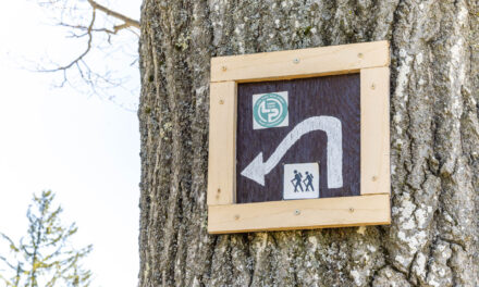 Rise and Shine: Monday, April 13, 2026