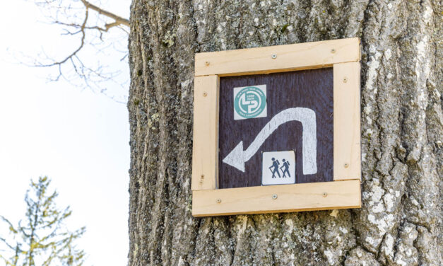 Rise and Shine: Monday, April 13, 2026