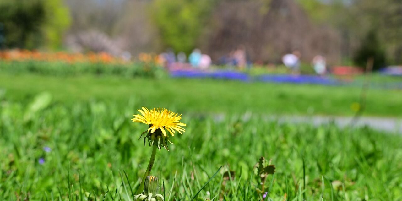 Rise and Shine: Friday, April 17, 2026