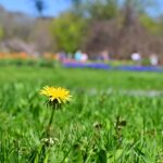 Rise and Shine: Friday, April 17, 2026