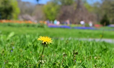 Rise and Shine: Friday, April 17, 2026