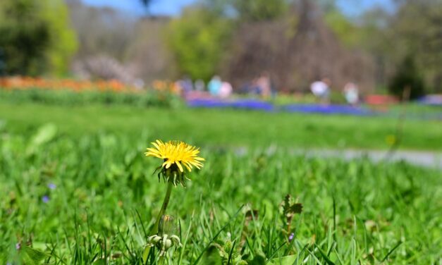 Rise and Shine: Friday, April 17, 2026