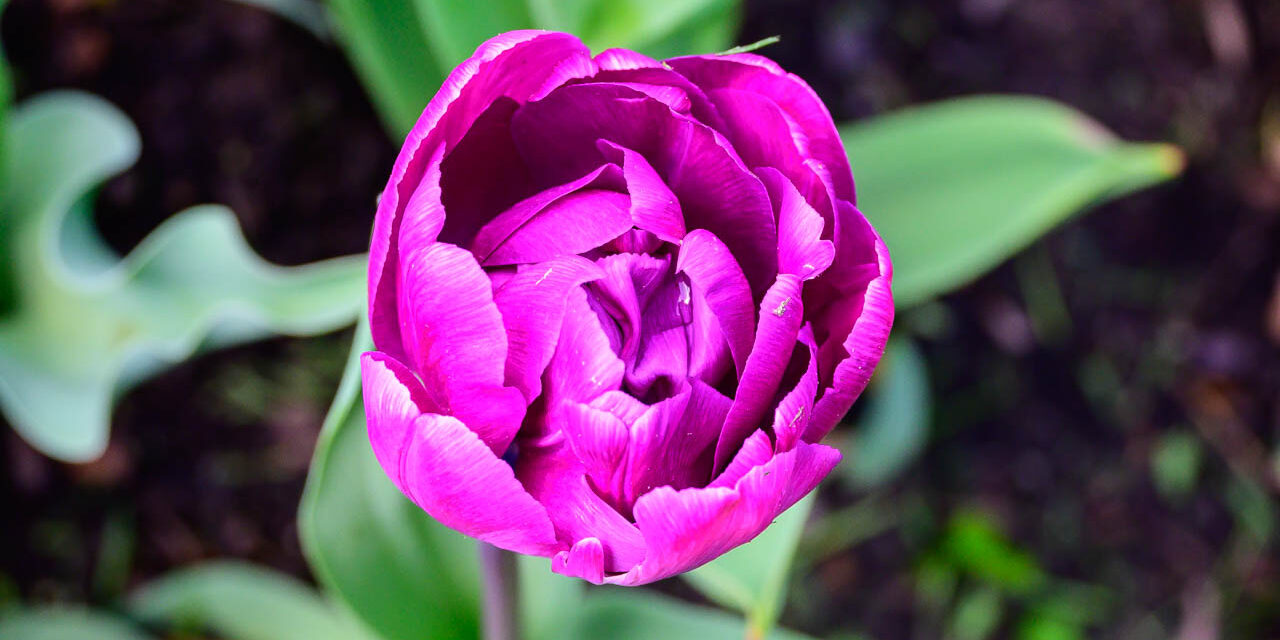 Rise and Shine: Friday, May 1, 2026