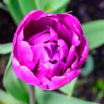 Rise and Shine: Friday, May 1, 2026