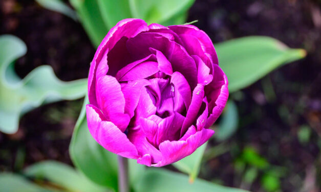 Rise and Shine: Friday, May 1, 2026