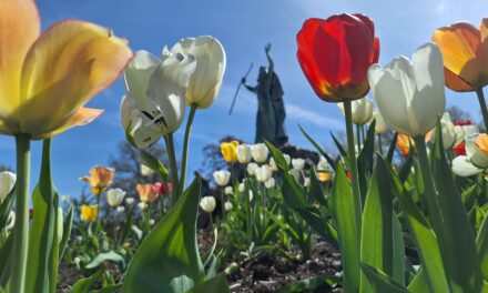 Rise and Shine: Thursday, May 14, 2026