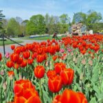 Rise and Shine: Friday, May 8, 2026