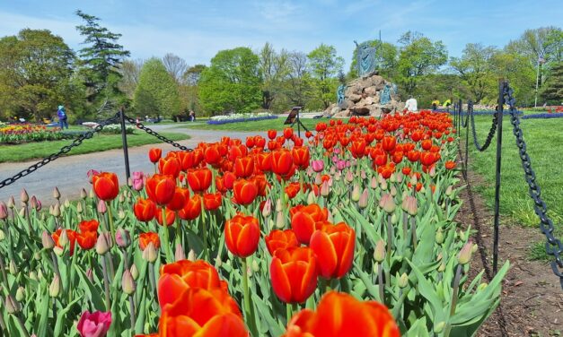 Rise and Shine: Friday, May 8, 2026