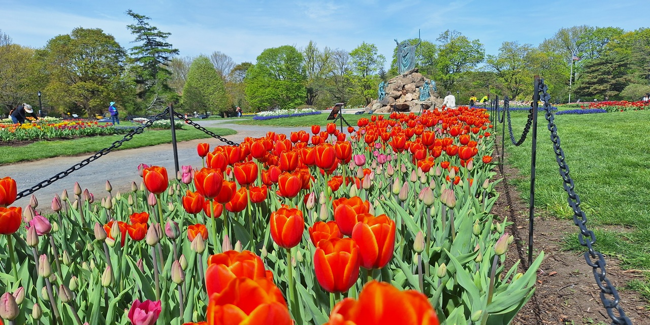 Rise and Shine: Friday, May 8, 2026