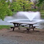 Rise and Shine: Thursday, May 7, 2026