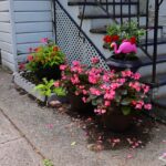 Rise and Shine: Friday, May 29, 2026