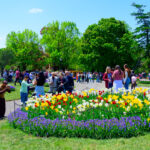 Rise and Shine: Wednesday, May 13, 2026