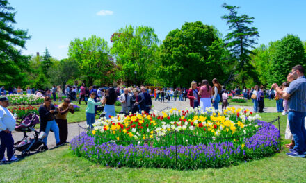 Rise and Shine: Wednesday, May 13, 2026