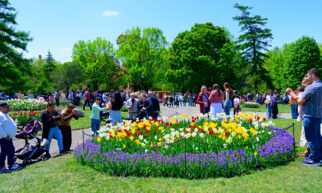 Rise and Shine: Wednesday, May 13, 2026