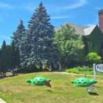 Rise and Shine: Wednesday, June 17, 2026