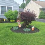 Rise and Shine: Monday, July 6, 2026