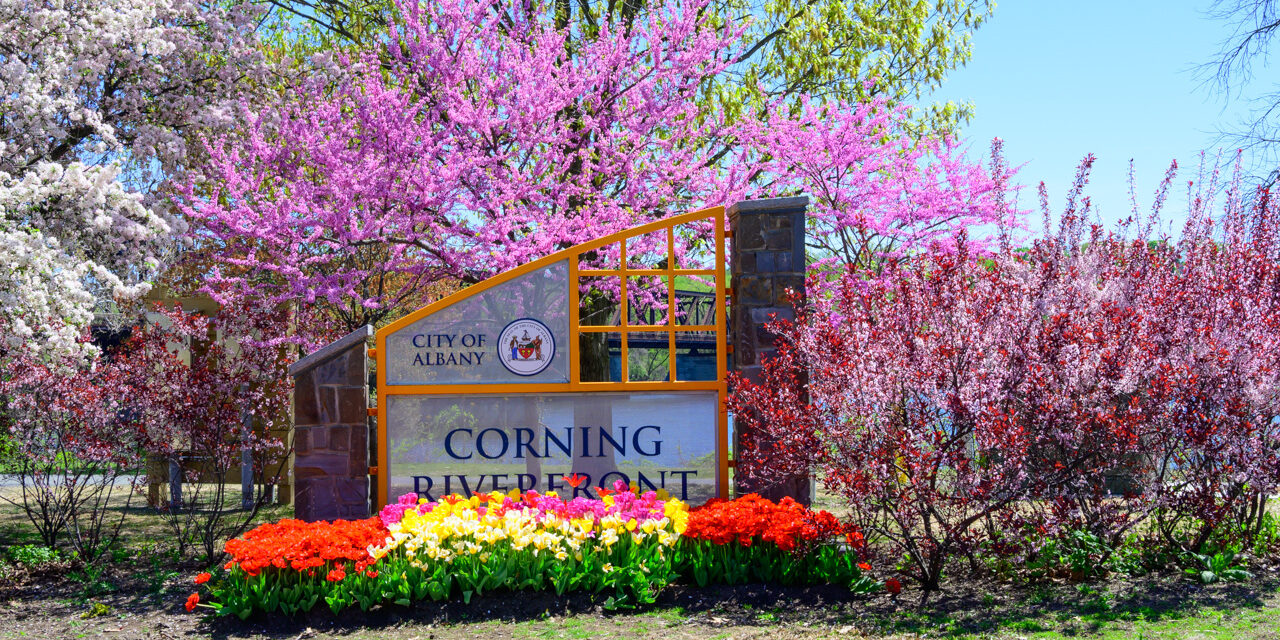 Rise and Shine: Wednesday, July 15, 2026