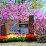 Rise and Shine: Wednesday, July 15, 2026