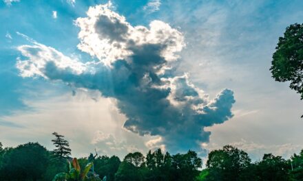 Rise and Shine: Thursday, Aug. 13, 2026