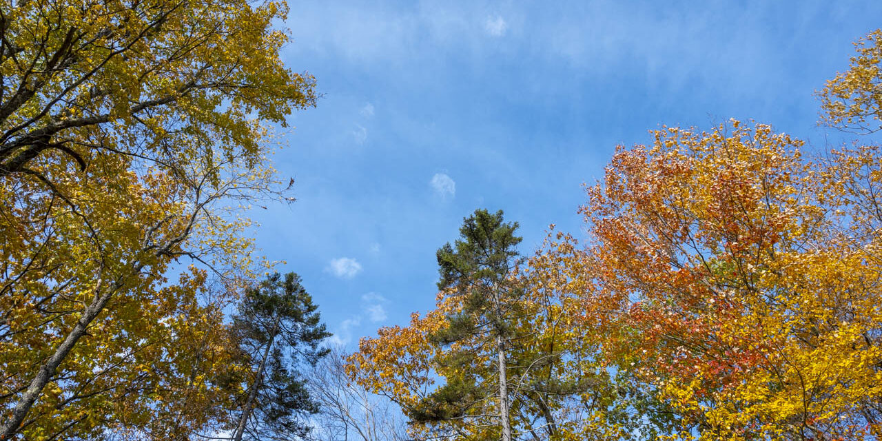 Rise and Shine: Thursday, Oct. 1, 2026