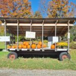 Rise and Shine: Monday, Oct. 26, 2026