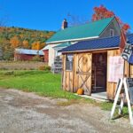 Rise and Shine: Thursday, Oct. 29, 2026